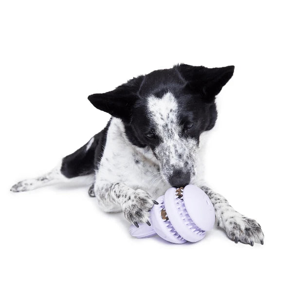 Bark Hippie Hopper Dog Toy