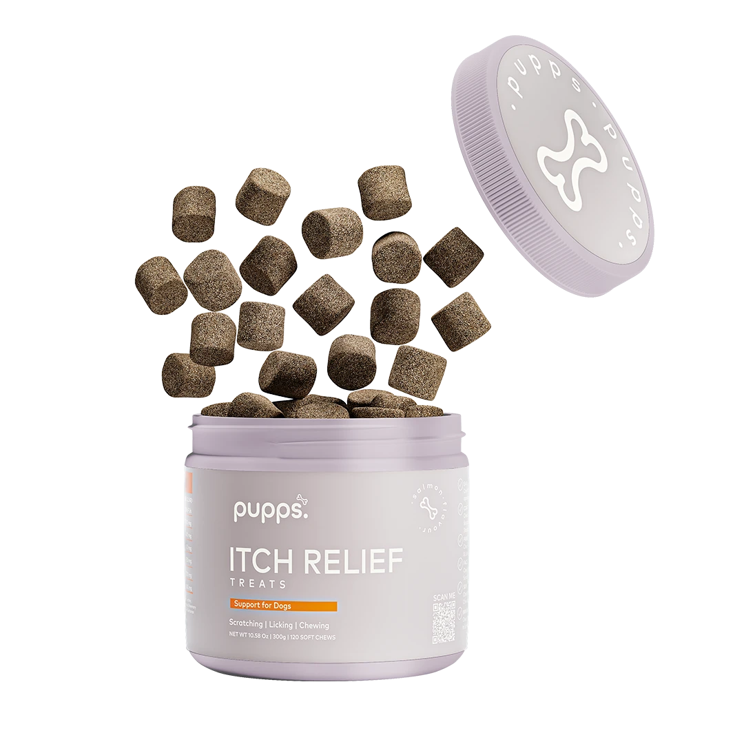 Itch Relief Treats