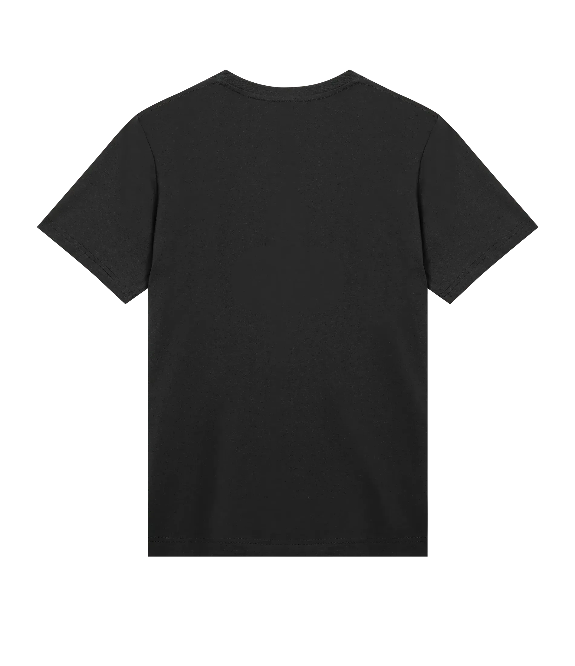 Puplic Enemy T-Shirt - Dog Dad t-shirt - THE DOG DAD - #color_black