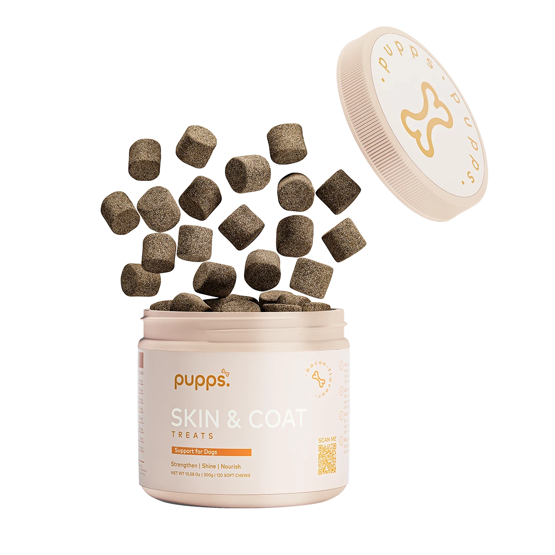 Skin & Coat Treats