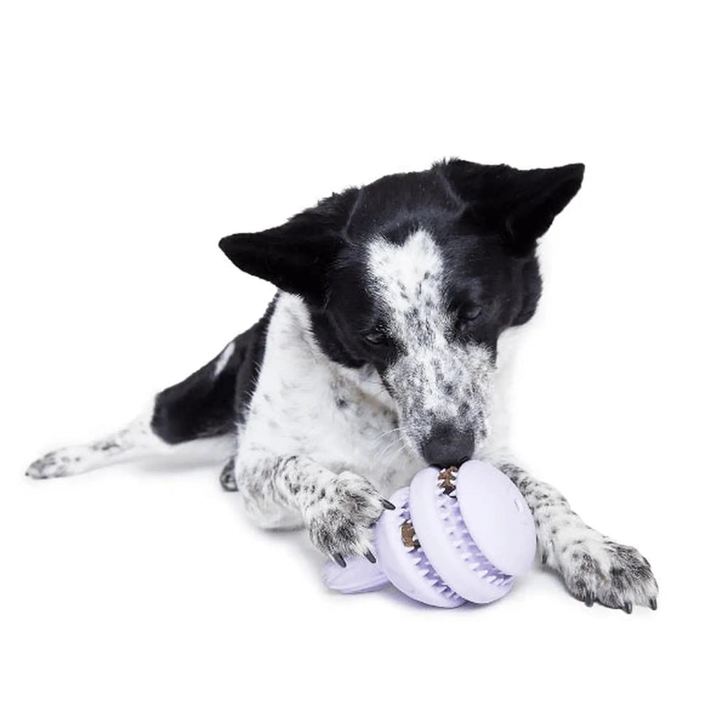 Bark Hippie Hopper Dog Toy