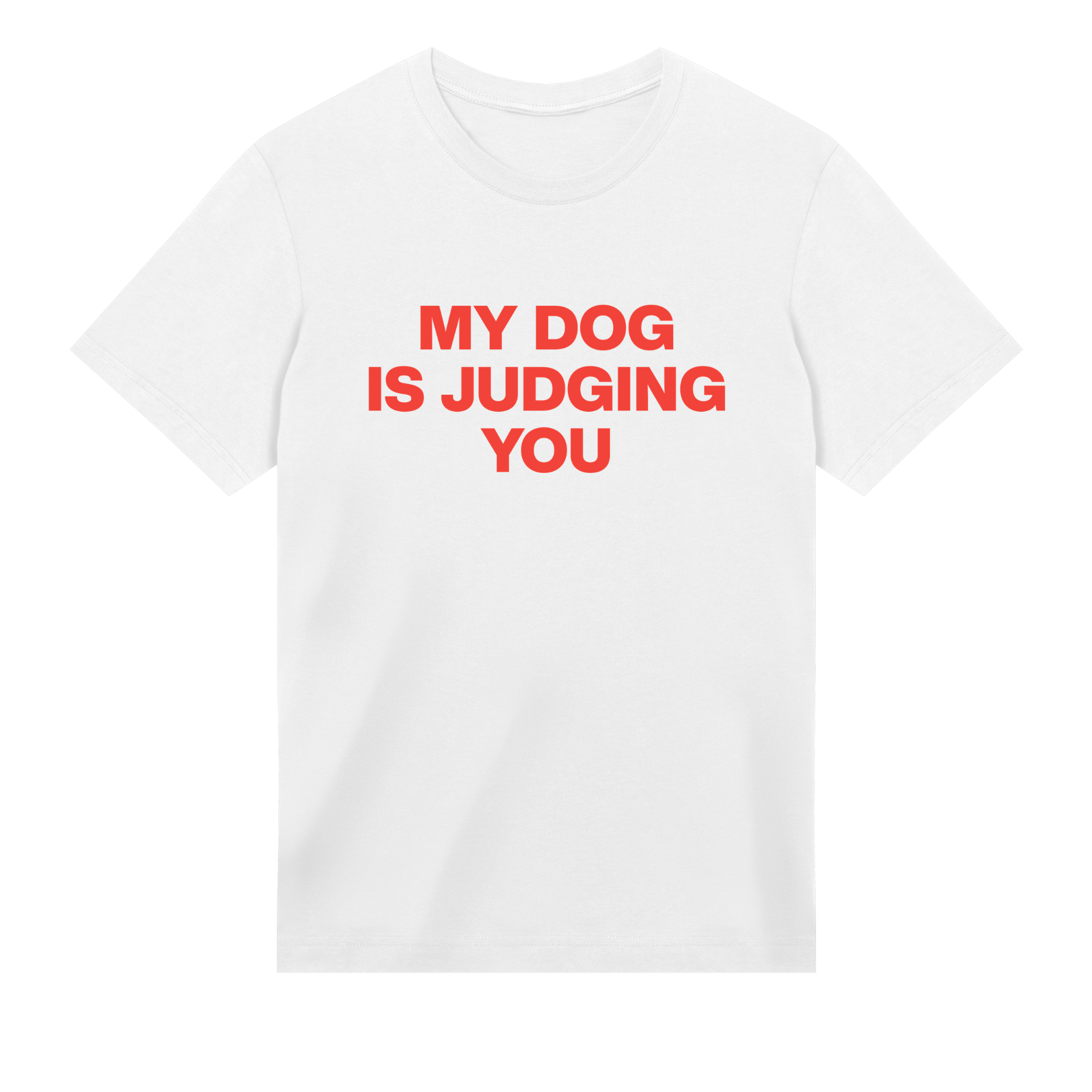 White t-shirt with red text 'MY DOG IS JUDGING YOU' on a white background